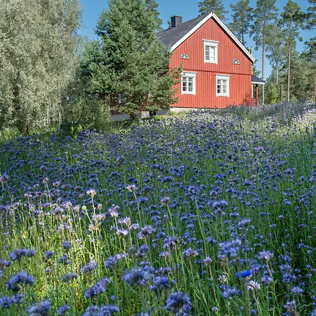 Nybacka Torp * Raseborg