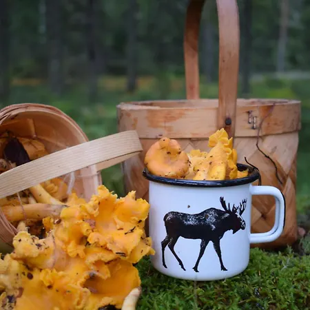 Nybacka Torp Ekenas
