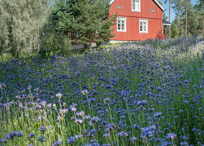 Nybacka Torp * Raseborg