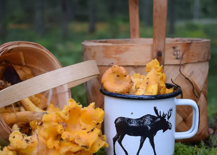 Nybacka Torp רסבורג